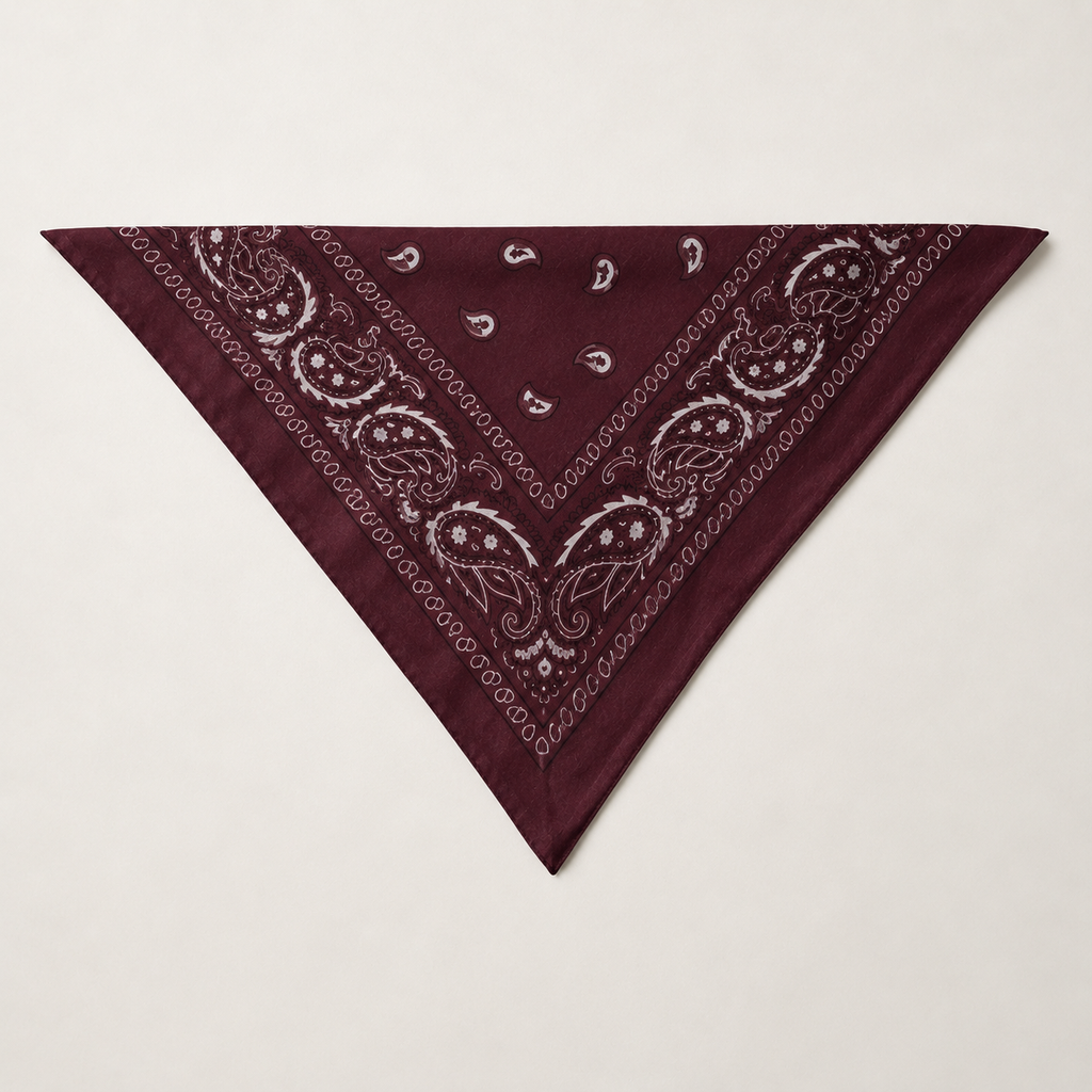 ASCENSION — Unisex Bandana | Words Become Stars